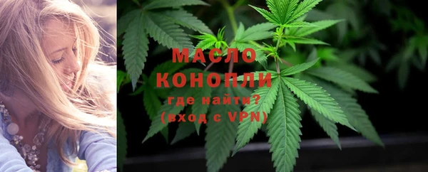 соль ск Верхний Тагил
