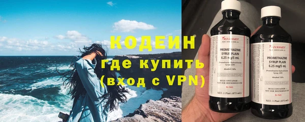 прущая мука Вяземский